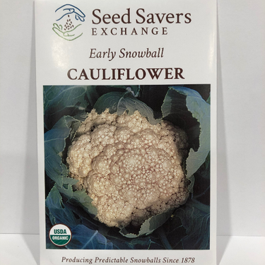 Early Snowball Cauliflower, 1878 heirloom, Organic